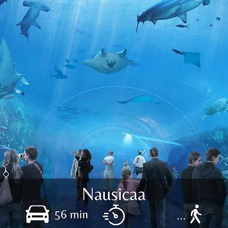 Intimissime * Dunkirk