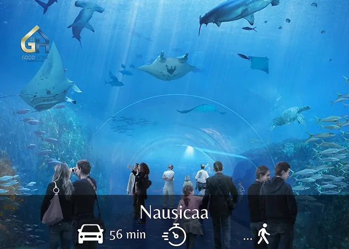 Intimissime * Dunkirk